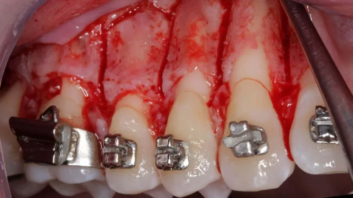 Odontologia integrada